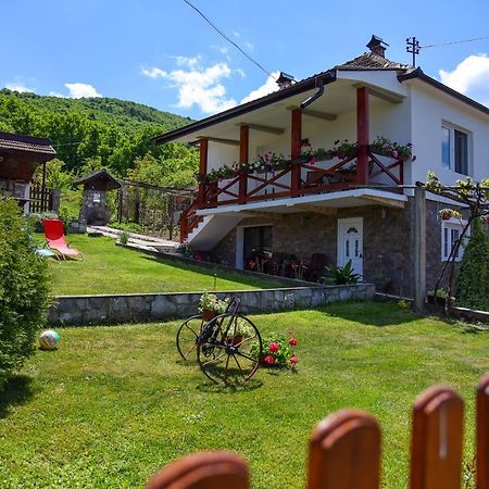 Апартаменти Casa Dafin Tekija - Kladovo Екстер'єр фото