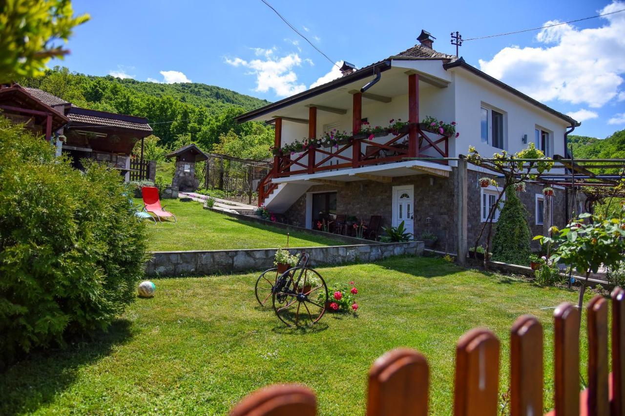 Апартаменти Casa Dafin Tekija - Kladovo Екстер'єр фото