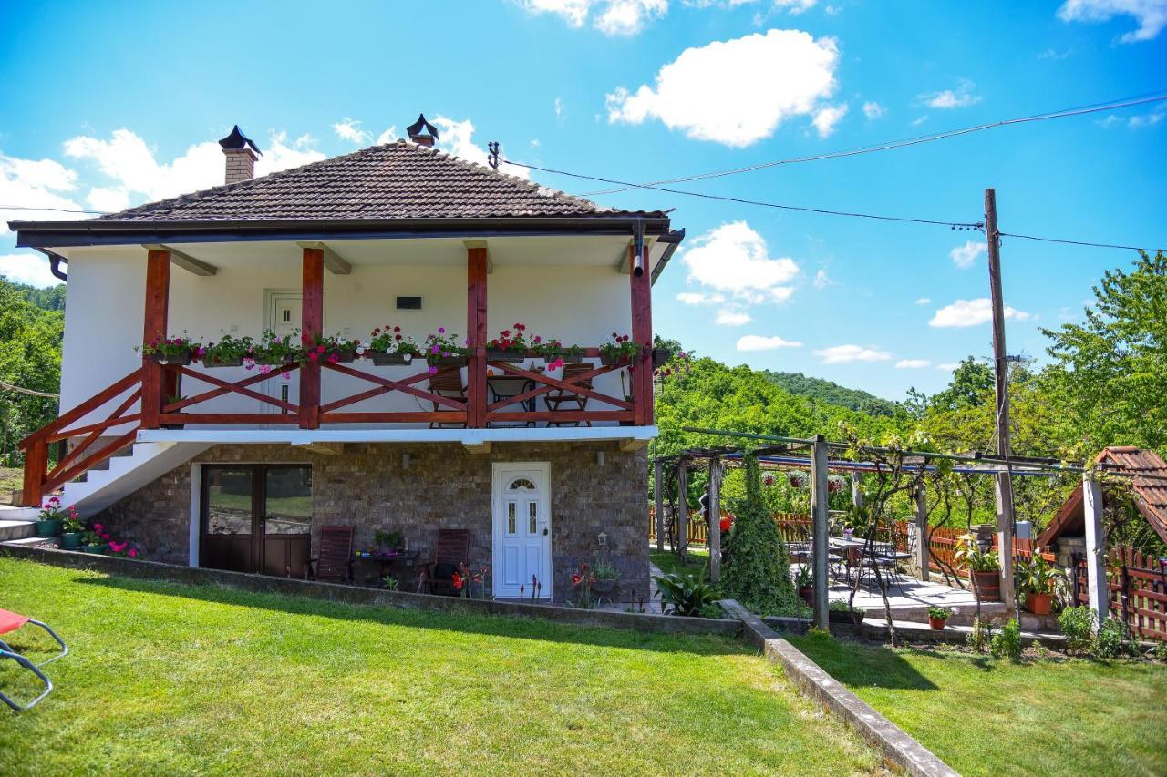 Апартаменти Casa Dafin Tekija - Kladovo Екстер'єр фото