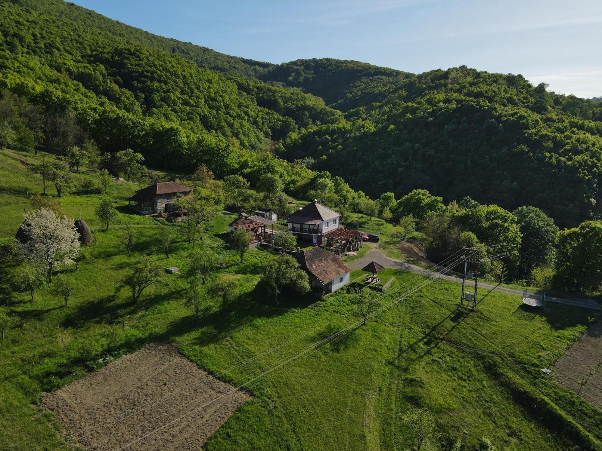 Апартаменти Casa Dafin Tekija - Kladovo Екстер'єр фото